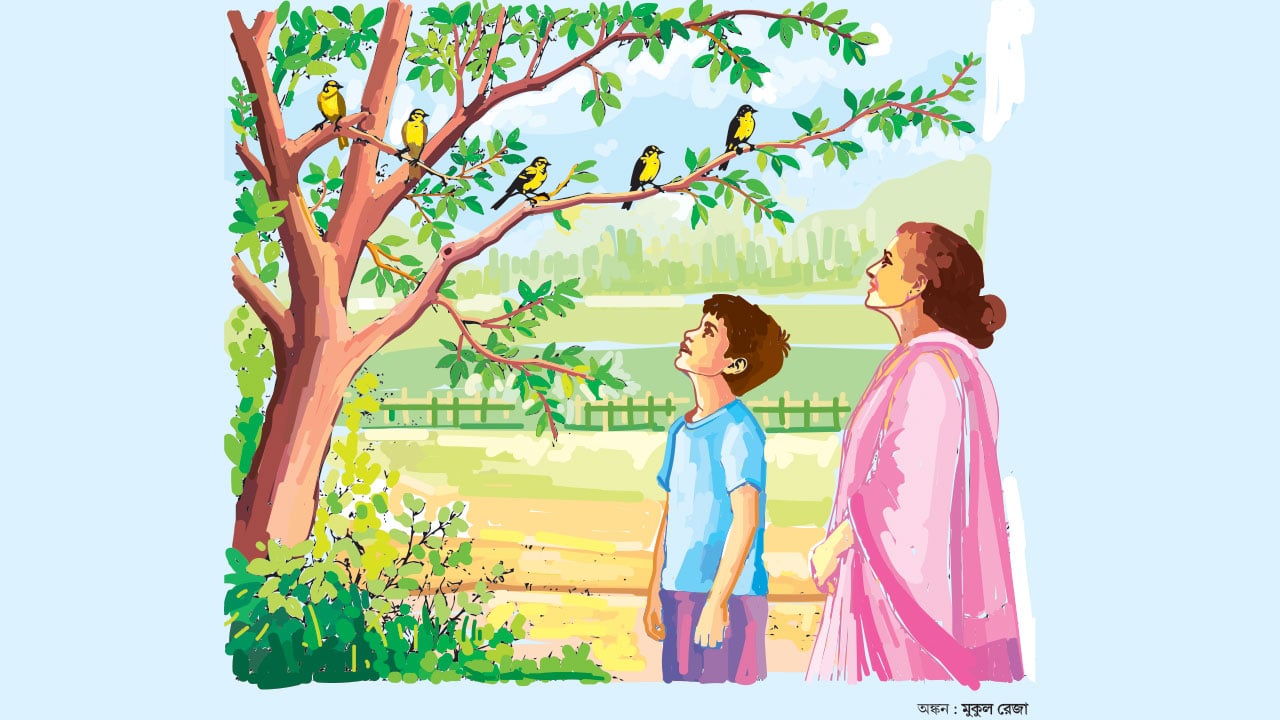 পাখির বাড়ি