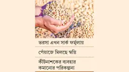 বিদেশি বীজনির্ভরতা কাটাতে কৃষিতে নতুন পরিকল্পনা