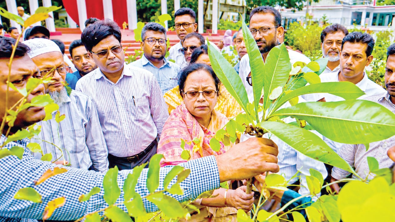 প্রাকৃতিক খাদ্যরঙ তৈরিতে সফল বরিশালের নারী উদ্যোক্তা