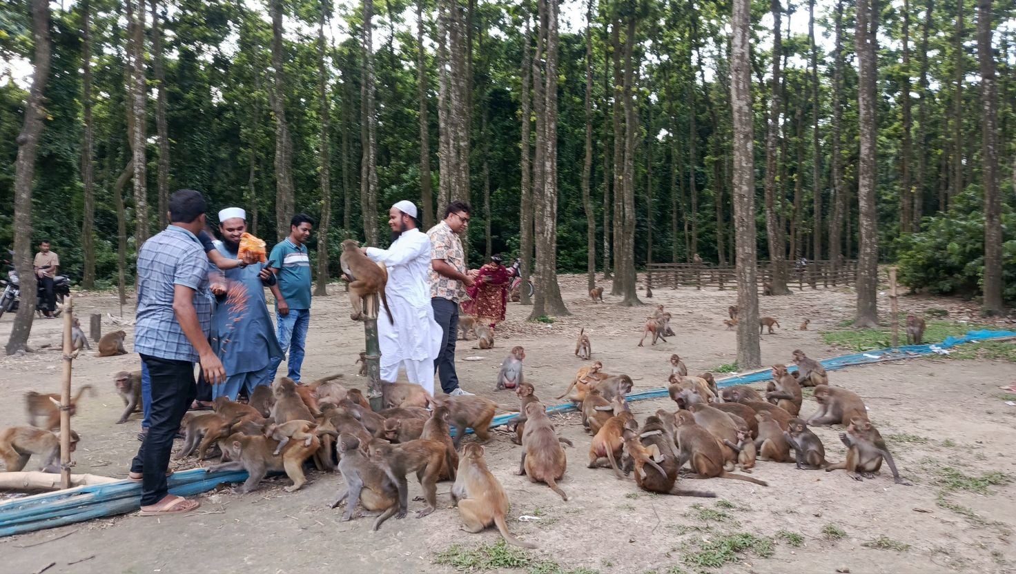 ফুলবাড়ীয়ায় ইকোপার্ক স্থাপনের মাধ্যমে জীববৈচিত্র্য রক্ষা পাবে আনবে যুগান্তকারী পরিবর্তন 