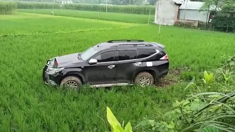 প্রতিমন্ত্রীর গাড়ির ধাক্কায় আহত ফিরোজাকে বাঁচানো গেল না