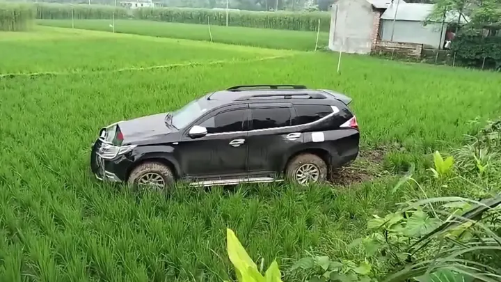 প্রতিমন্ত্রীর গাড়ির ধাক্কায় আহত ফিরোজাকে বাঁচানো গেল না