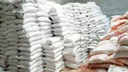 বগুড়ায় সার ডিলার নিয়োগে ধীরগতি, তালিকার অপেক্ষায় ১১ উপজেলা