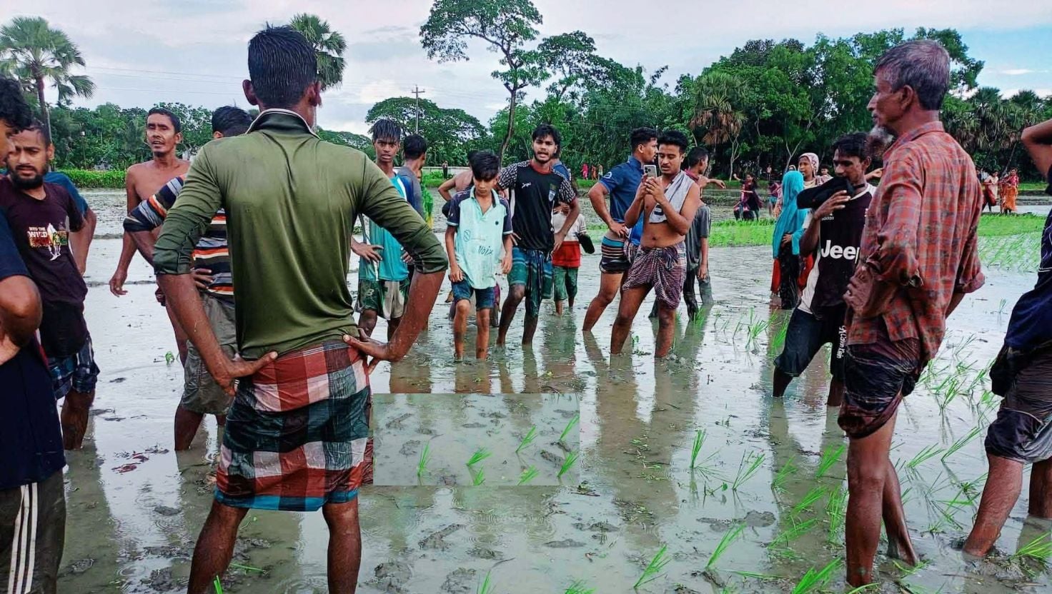 ধান রোপণ করতে গিয়ে বজ্রপাতে কৃষকের মৃত্যু