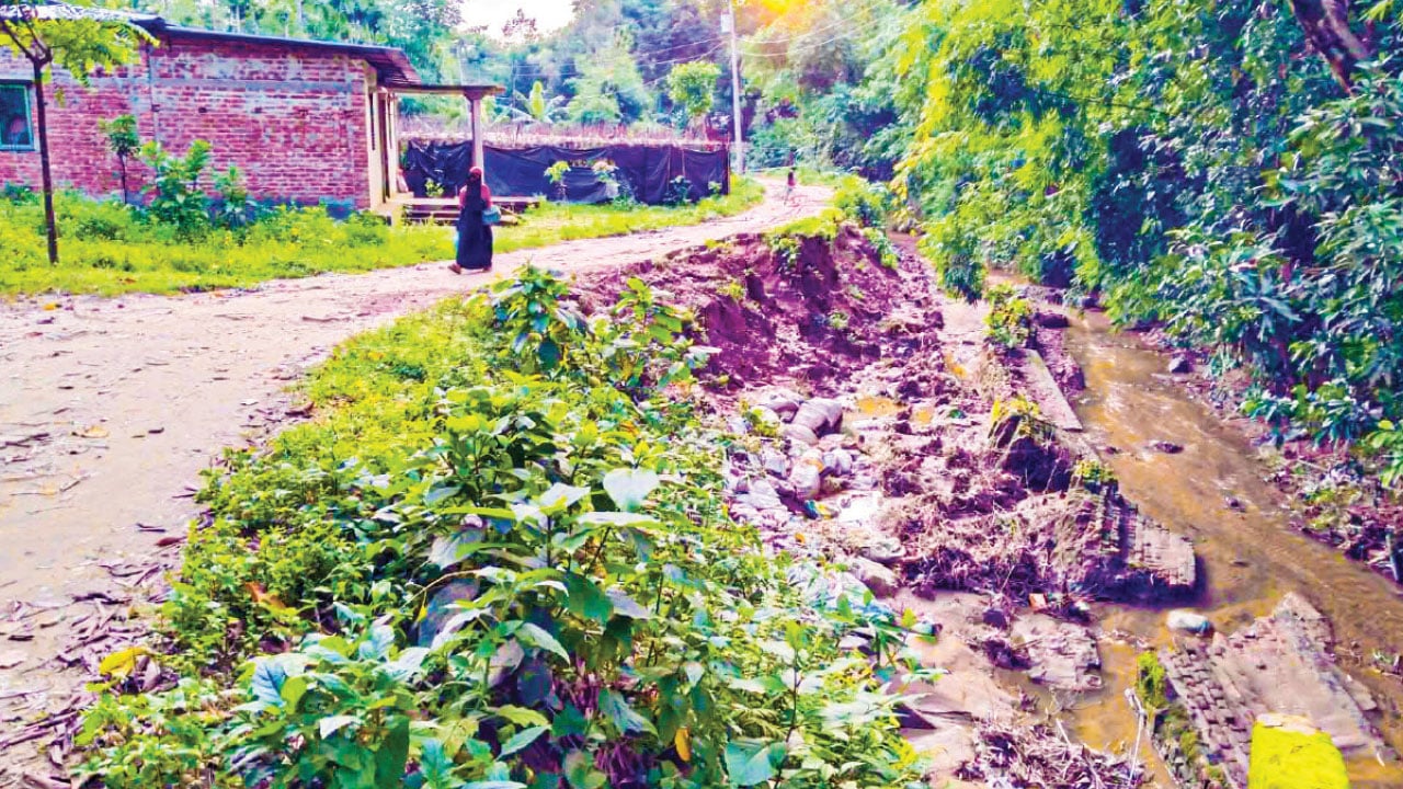বন বিভাগের আপত্তিতে ২২ কোটি টাকার সড়ক সংস্কারকাজ বন্ধ