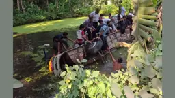 বরিশালে যাত্রীবাহী বাস পুকুরে পড়ে নিহত ১, আহত ২০