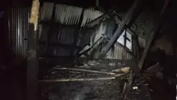 নড়িয়ায় নিজের বসতঘরে আগুন দিল দুই ভাই 