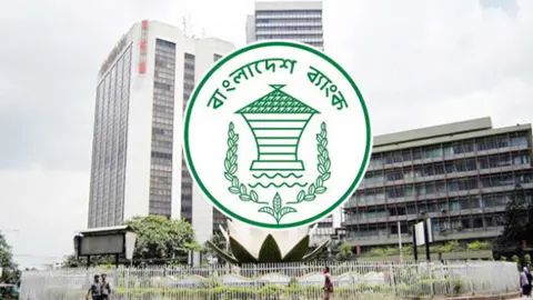 জামানত ছাড়া তরুণ উদ্যোক্তাদের ২০ লাখ টাকা ঋণ দেবে বাংলাদেশ ব্যাংক