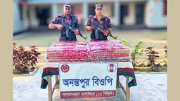 লালমনিরহাটে ভারতীয় স্বর্ণকাতান শাড়ি জব্দ 
