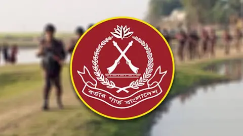 বিজিবির ওপর হামলা, ভারতীয় চোরাকারবারিকে ছিনিয়ে নিল দুর্বৃত্তরা
