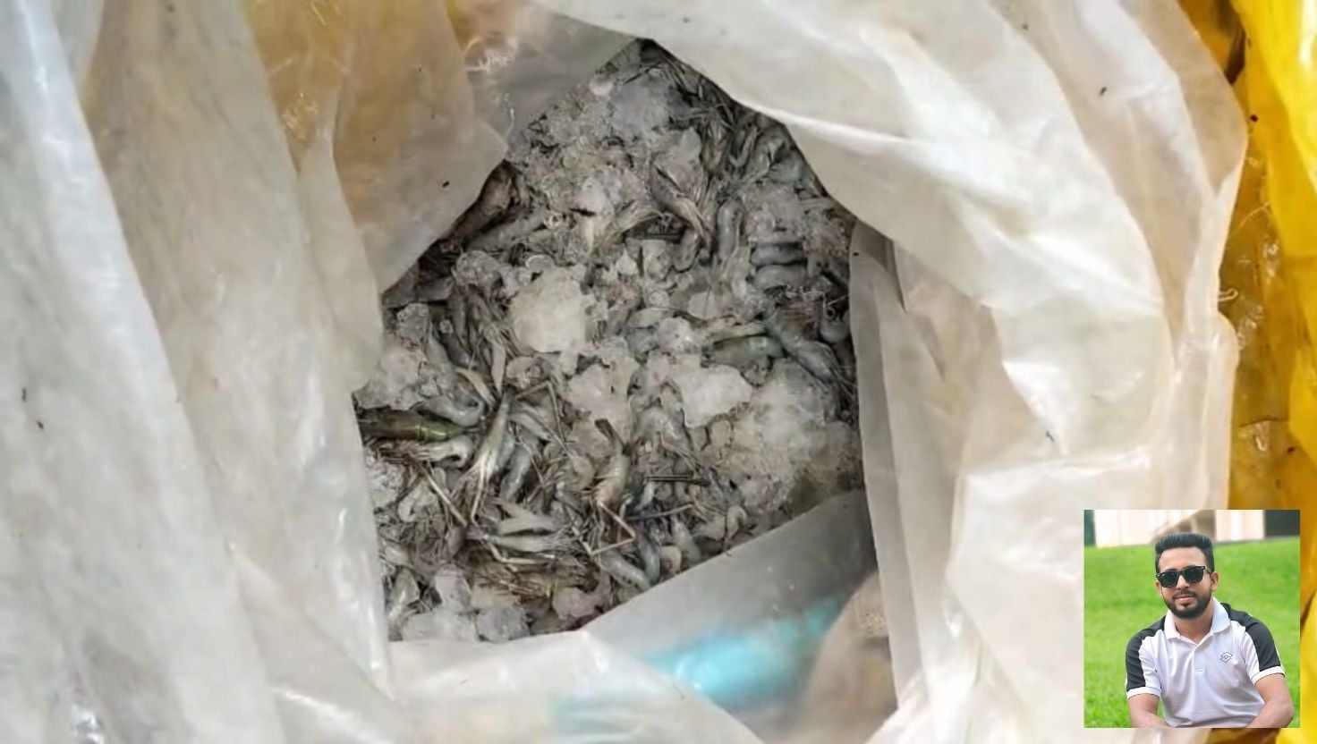 সুন্দরবনে বিষ দিয়ে মাছ শিকার, যুবদল কর্মী আটক