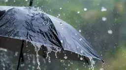 বৃষ্টি নিয়ে যে সংবাদ জানাল আবহাওয়া অফিস