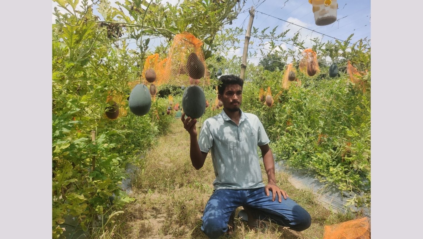 বোচাগঞ্জে মিনহাজের তরমুজ চাষে সাফল্য