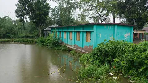 স্কুল ভবন পুকুরে ধসের আশঙ্কা, আতঙ্কে শিক্ষার্থীরা