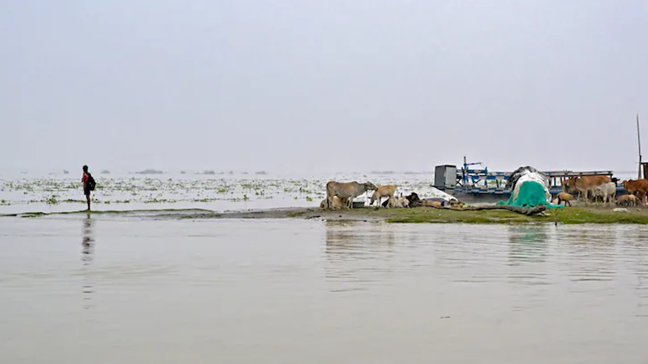 আসামে বন্যায় প্রাণহানি বেড়ে ৪৭, ক্ষতিগ্রস্ত ৭ লাখের বেশি মানুষ