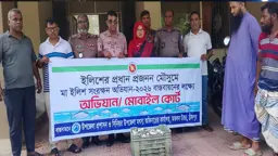 মতলব উত্তরে মা ইলিশ রক্ষা অভিযানে ১০ জেলে আটক, ৭ জনের কারাদণ্ড