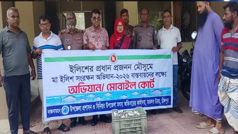 মতলব উত্তরে মা ইলিশ রক্ষা অভিযানে ১০ জেলে আটক, ৭ জনের কারাদণ্ড