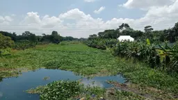 শিবচরে দখল-ভরাটে মৃতপ্রায় ময়নাকাটা নদী