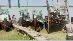 বাঁশখালীর ১৫ হাজার জেলে বৃহস্পতিবার মধ্যরাতে নামছেন মাছ শিকারে