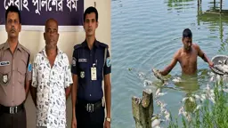 চাঁদা না পেয়ে প্রবাসীর মাছের খামারে বিষ, বিএনপি নেতা গ্রেপ্তার
