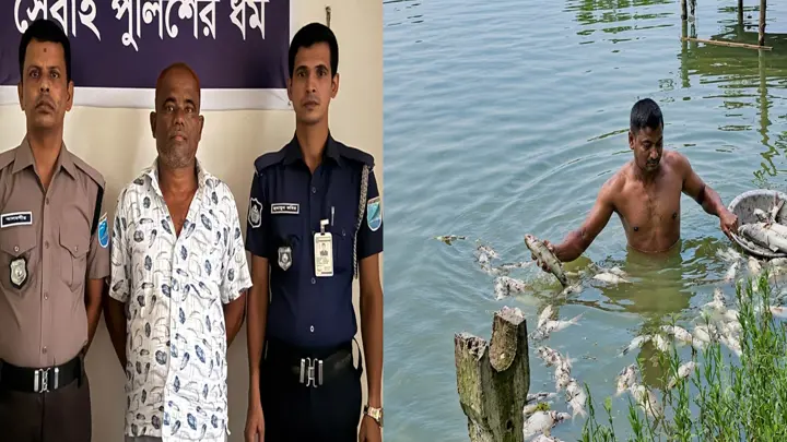 চাঁদা না পেয়ে প্রবাসীর মাছের খামারে বিষ, বিএনপি নেতা গ্রেপ্তার
