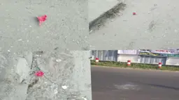 মাদারীপুরে বিচারকের বাসভবনের সামনে ককটেল বিস্ফোরণ