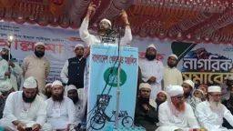 গণভোট অবৈধ হলে বিএনপি সরকারও অবৈধ: মামুনুল হক
