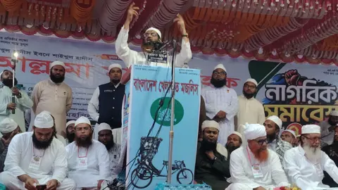 গণভোট অবৈধ হলে বিএনপি সরকারও অবৈধ: মামুনুল হক
