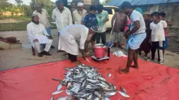 মিরসরাইয়ে ৩৯৫ কেজি ইলিশ জব্দ, একজনের কারাদণ্ড
