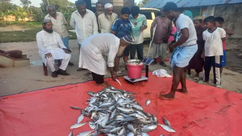 মিরসরাইয়ে ৩৯৫ কেজি ইলিশ জব্দ, একজনের কারাদণ্ড
