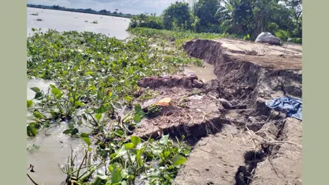 নদীভাঙনে ছোট হয়ে আসছে গৌরনদীর মিয়ার চর