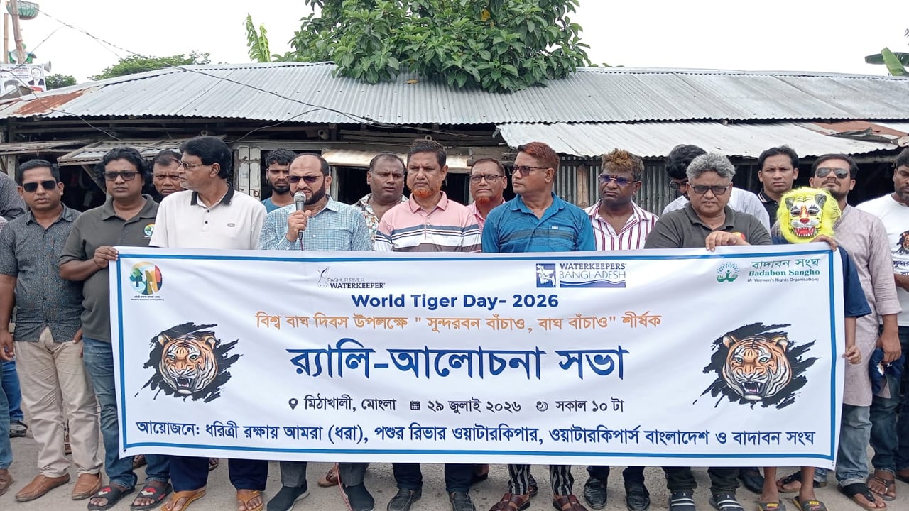 সুন্দরবনের বাঘ রক্ষা এখন বড় চ্যালেঞ্জ, বাঘ দিবসের আলোচনায় বক্তারা

