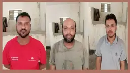 মোহনগঞ্জে আলোচিত এনআইডি জালিয়াতি চক্রের ৩ সদস্য রিমান্ডে