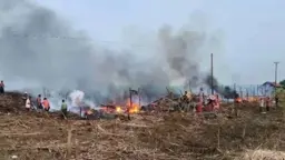 রাখাইনে বাস্তুচ্যুতদের শিবিরে ফের বিমান হামলা, নিহত ৮
