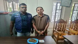 ইয়াবা ও গাঁজাসহ যুবদল নেতা গ্রেপ্তার
