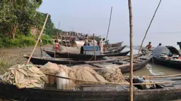 ২২ দিনের নিষেধাজ্ঞায় রাজশাহীতে জেলেশূন্য পদ্মানদী, ঘাটে নোঙর করা সারি সারি নৌকা