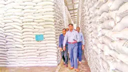 রাজশাহীতে গুদামে পর্যাপ্ত সার, মাঠে কৃষকের হাহাকার