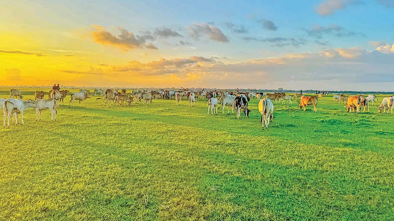 রাজশাহীর ‘মিনি সুইজারল্যান্ড’ সৌন্দর্যের আড়ালে বঞ্চনার গল্প
