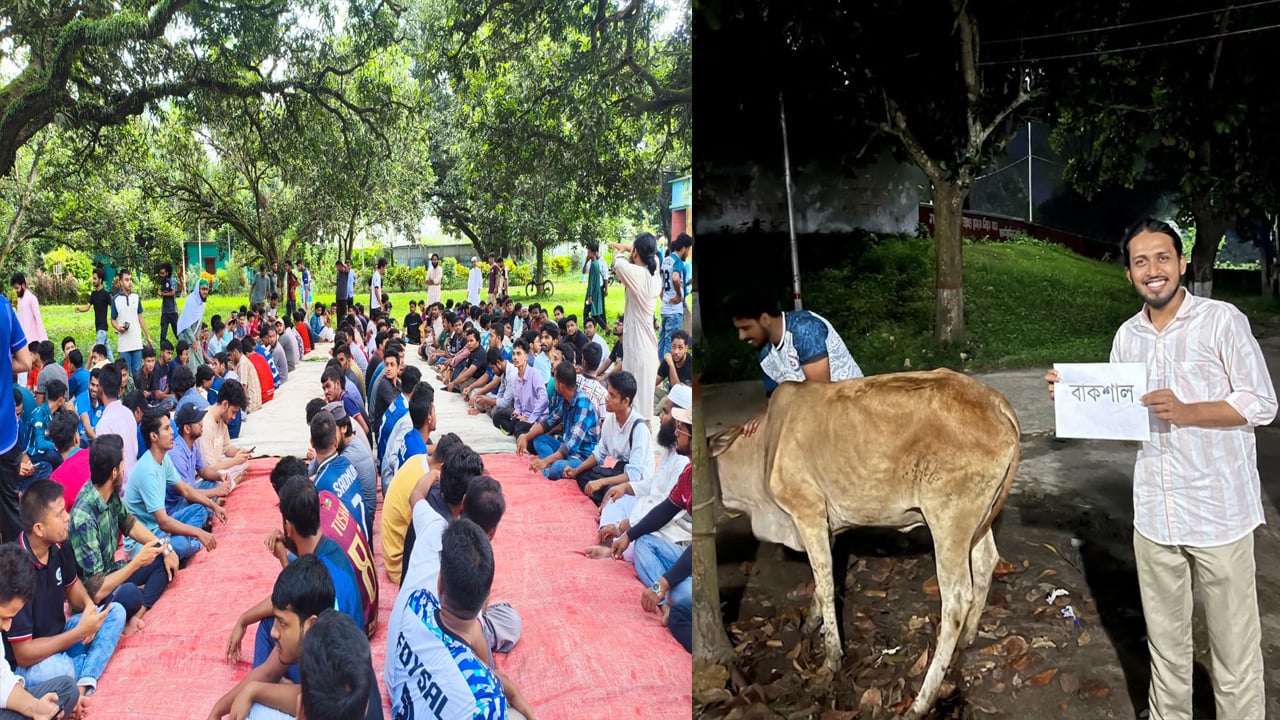 ‘বাকশালি গরু’ জবাই করে আম্মারের নেতৃত্বে জুলাই জিয়াফত

