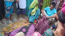মাদকাসক্ত ভাতিজার শাবলের আঘাতে চাচি নিহত, আহত ৩