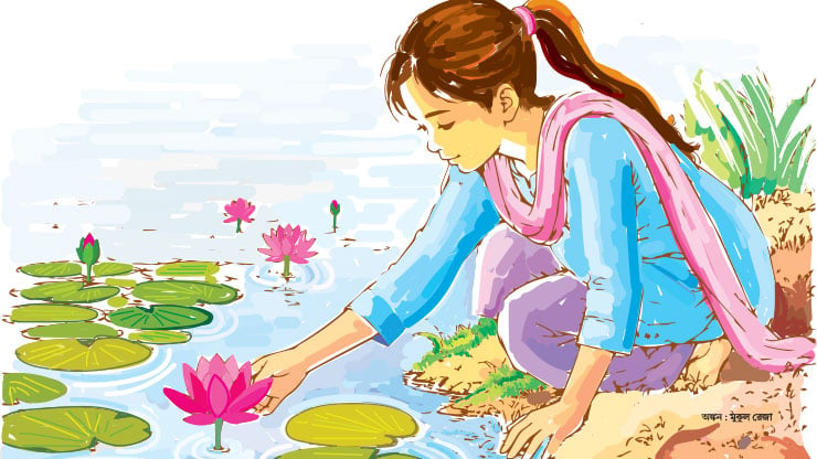 লাল শাপলার টানে