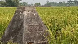 সীমান্তে নারী-শিশুসহ ১২ জনকে পুশইনের চেষ্টা, বিজিবির বাধায় পিছু হটল বিএসএফ
