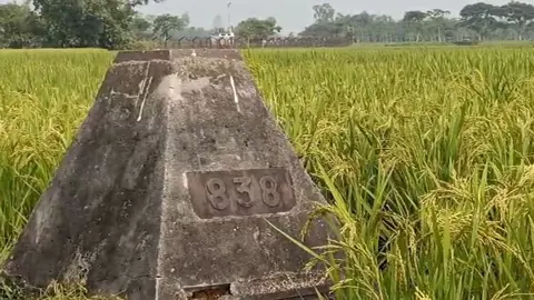 
সীমান্তে নারী-শিশুসহ ১২ জনকে পুশইনের চেষ্টা, বিজিবির বাধায় পিছু হটল বিএসএফ