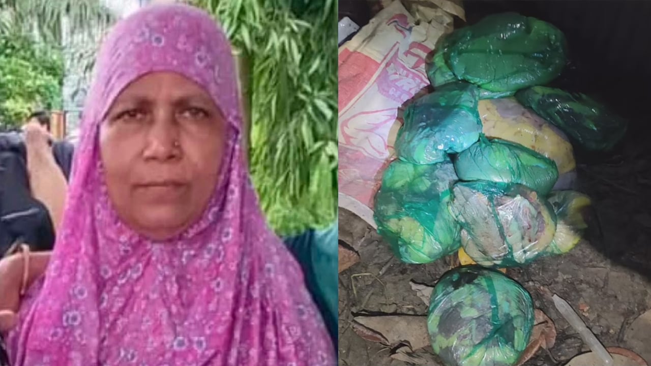 নারীকে হত্যার পর লাশ ১০ টুকরো, এক জন আটক

