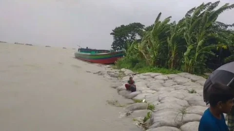 লৌহজংয়ে পদ্মায় আকস্মিক ভাঙন, আতঙ্কে মানুষ

