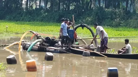 শাহরাস্তিতে অসাধু চক্রের দাপটে বিলীন হচ্ছে আবাদি জমি