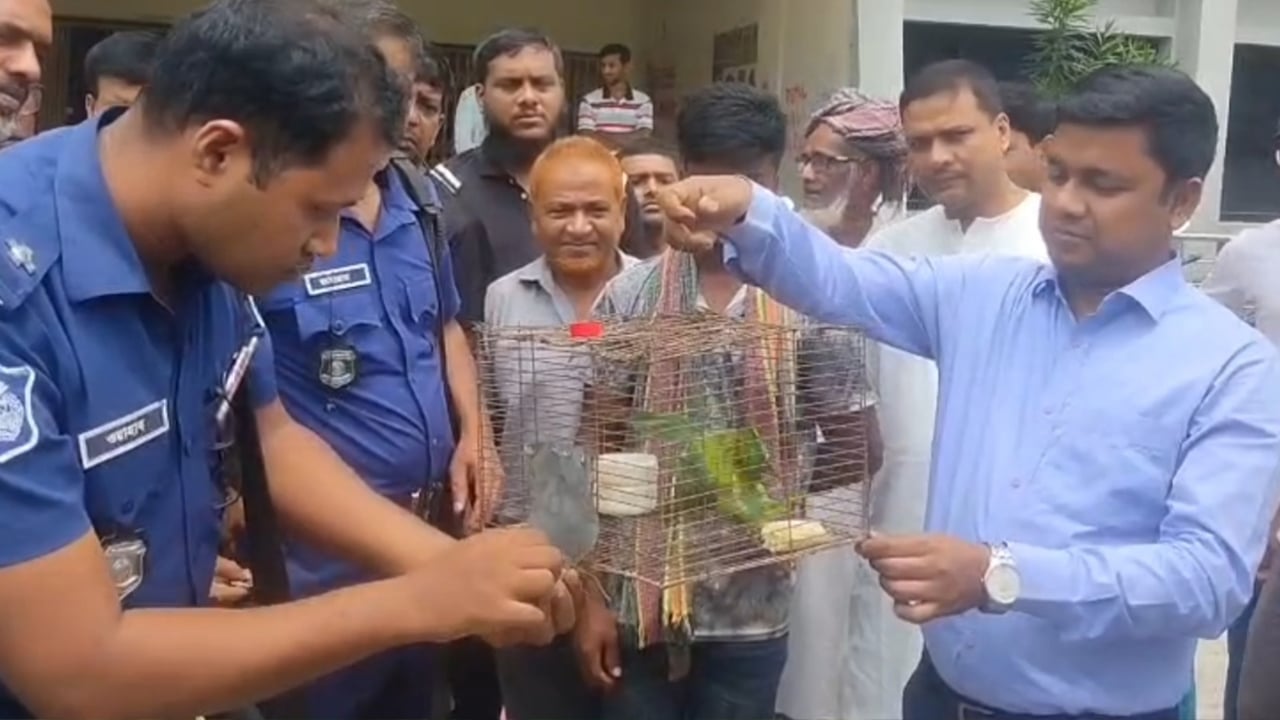 পাখি শিকারের দায়ে যুবককে জরিমানা, টিয়াপাখি অবমুক্ত
