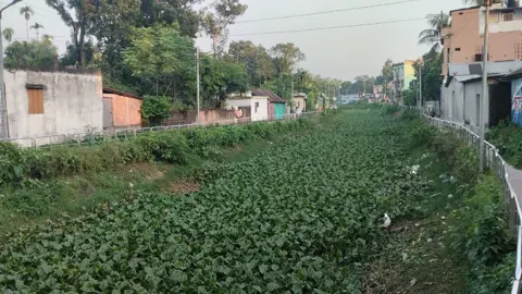  শিয়ালজানি খালের বুকজুড়ে এখন শুধুই কচুরিপানা