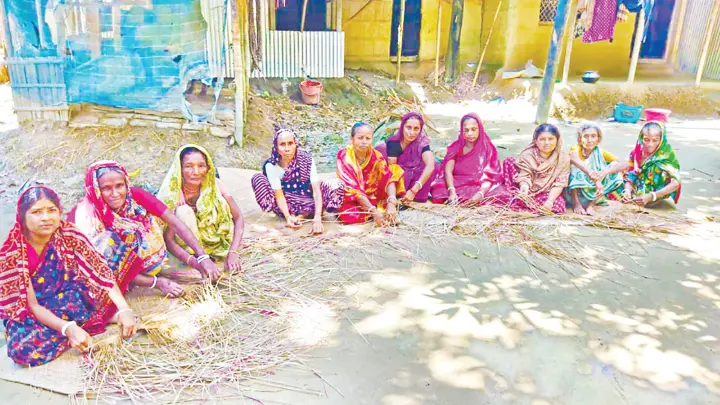 শীতলপাটি বুনেই চলে সংসার