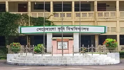 রেস্টুরেন্টের ব্যবহৃত তেল শেকৃবির ক্যান্টিনে, ১৫ লিটার জব্দ 
